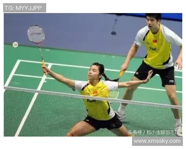 深圳羽毛球队的战术解析与训练策略深度剖析