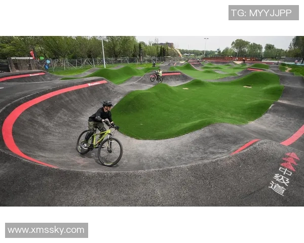 专访陈芳：解密极限运动成功之道