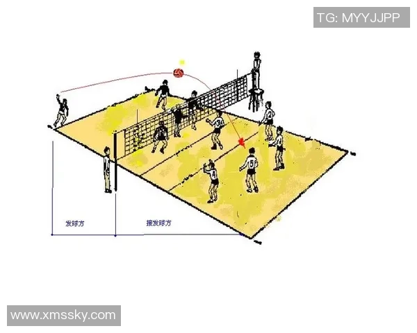 从零开始：排球战术完全攻略
